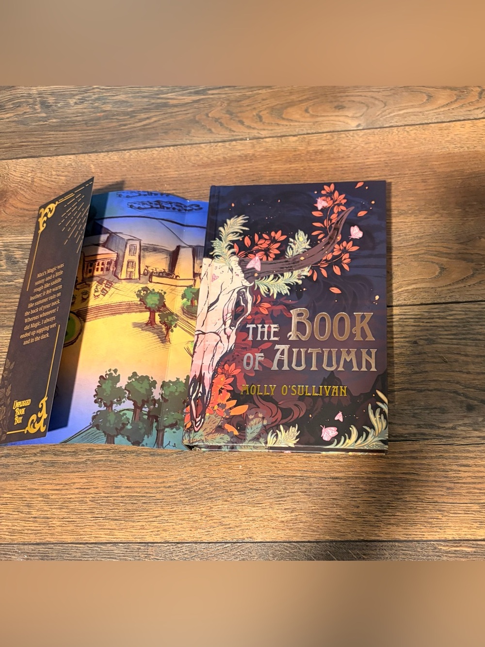 Unplugged Book Box - The Book of Autumn by Molly O'Sullivan